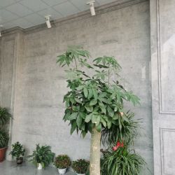 月光灰墙面