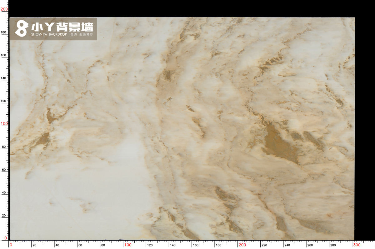 盛来_山水画_SL-9606S_6-4_11_3015_1950_18_20.10.09_10-04-37_副本.jpg