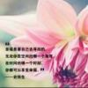 黄金麻~白麻~芝麻灰~卡基诺金