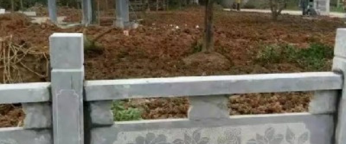荷花栏杆园林景观