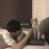 隆达石材