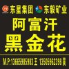 王雅萍