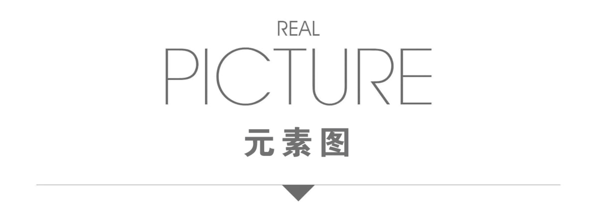 元素图.jpg