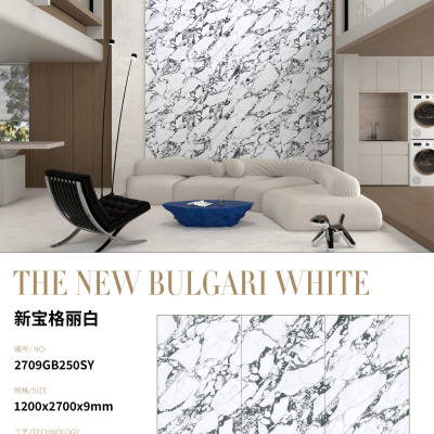 新宝格丽白2700x1200-新宝格丽白2700x1200x9石材-新宝格丽白2700x1200源头厂家-石材助手